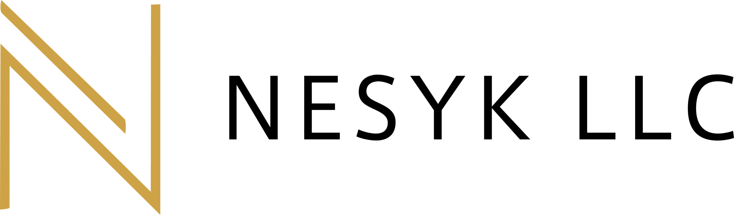合同会社NESYK