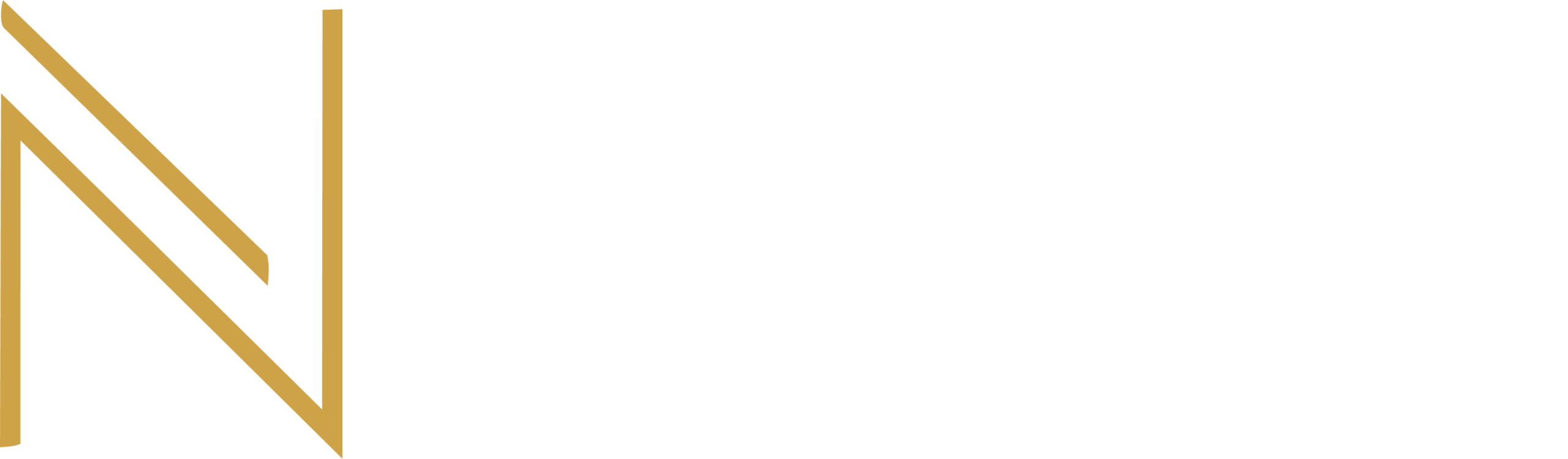 NESYK LLC.